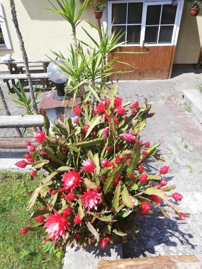 Penzion Baltazar Liptovska Luzna Exterior foto